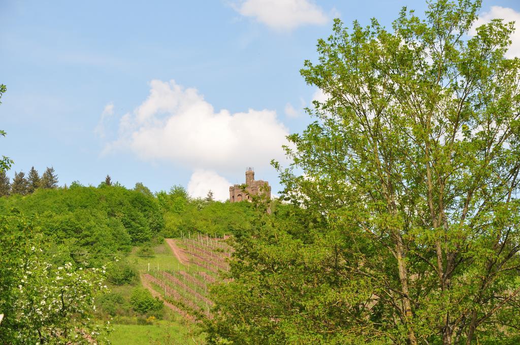 Schroeders Wein-Style-Hotel Trier Dış mekan fotoğraf