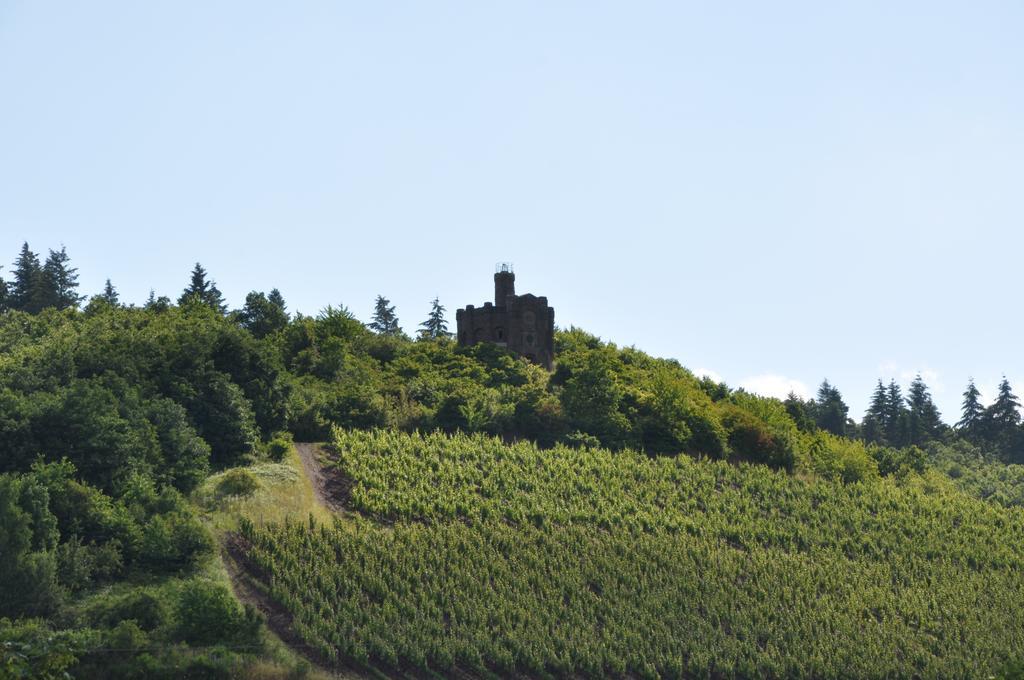 Schroeders Wein-Style-Hotel Trier Dış mekan fotoğraf