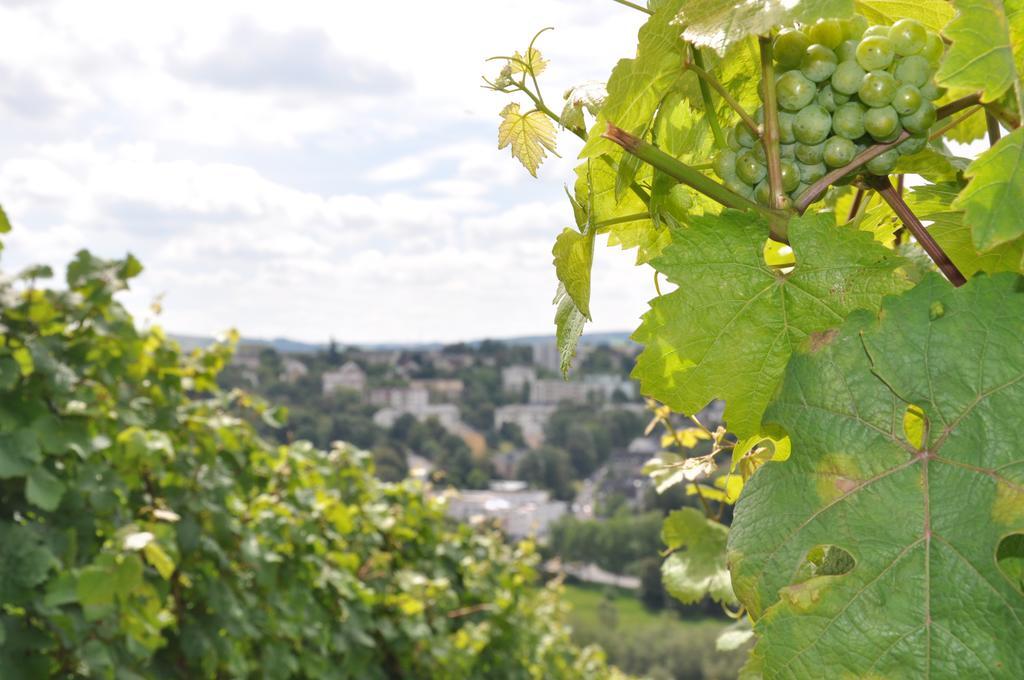 Schroeders Wein-Style-Hotel Trier Dış mekan fotoğraf