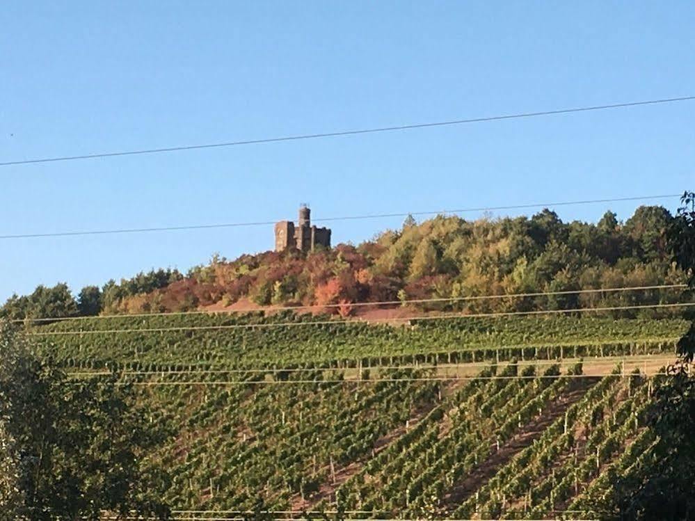 Schroeders Wein-Style-Hotel Trier Dış mekan fotoğraf
